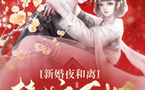 新婚夜和离，替嫁医妃宠冠全京城