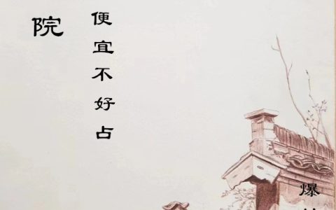 四合院：我的便宜不好占（周爱国）全文免费阅读无弹窗大结局