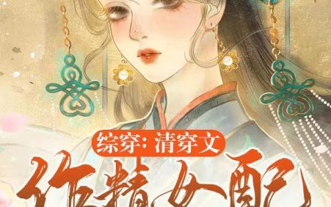 综穿：清穿文作精女配她不作了（苏瓷）全文免费阅读无弹窗大结局