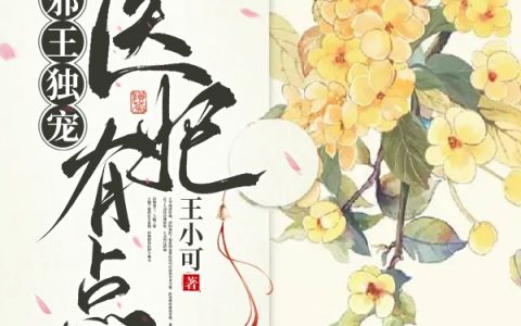 潇之柔岑修然（邪王独宠：医妃有点甜）全文免费阅读无弹窗大结局