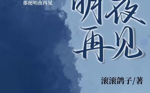 程渡玄林饮月（明夜再见）全文免费阅读无弹窗大结局