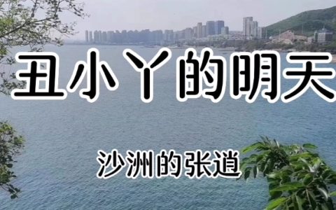 丑小丫的明天免费（季雅凡）全文免费阅读无弹窗大结局