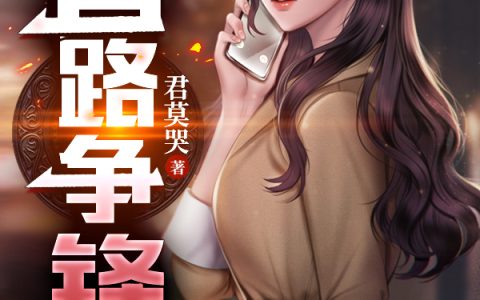 叶轩斩尽奸臣后大明盛世三百年完结篇