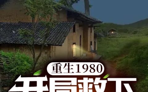 重生1980：开局救下怀孕妻子（高志恒安宁）全文免费阅读无弹窗大结局