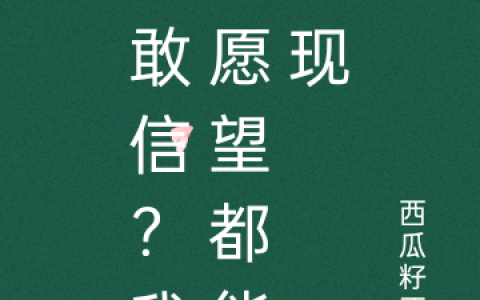 你敢信？我的愿望都能实现（沈倾城）全文免费阅读无弹窗大结局