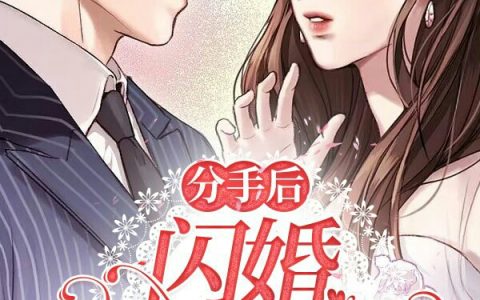 分手后，闪婚亿万总裁（苏锦君睿）全文免费阅读无弹窗大结局