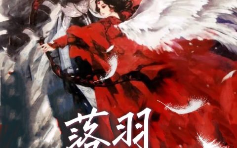 落羽幻凰沐千羽夜司寒(落羽幻凰)全文免费阅读无弹窗大结局