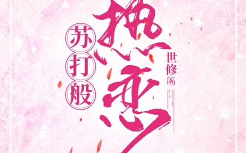 苏打般热恋（何向夏祁鹤）全文免费阅读无弹窗大结局