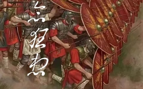 概念狂想（林木森）全文免费阅读无弹窗大结局