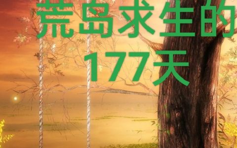 与美女同事荒岛求生的177天小说（陈宇陆寒）全文免费阅读无弹窗大结局