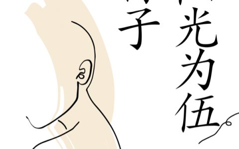 与阳光为伍的日子小说（盛一白林晴）全文免费阅读无弹窗大结局