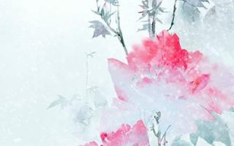 重生影后是男神