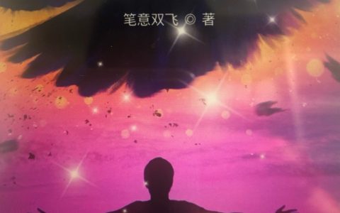 夜星神域叶星还全文免费阅读无弹窗大结局