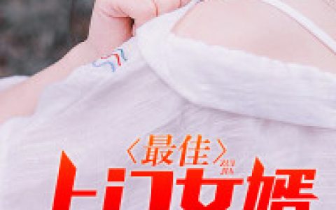 最佳上门女婿