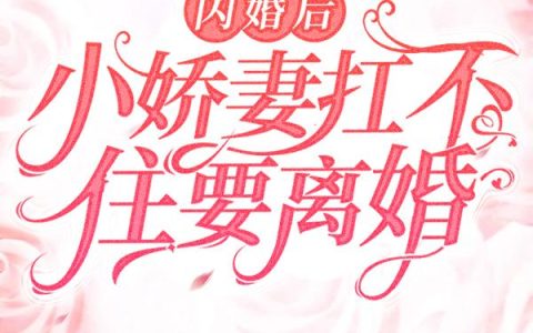 闪婚后，小娇妻扛不住要离婚