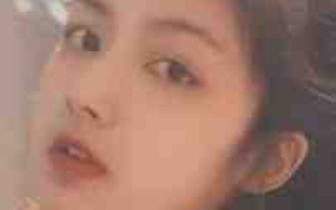 我的老婆是总裁