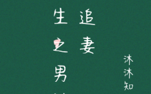 重生之男神在追妻
