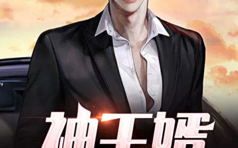 神王婿