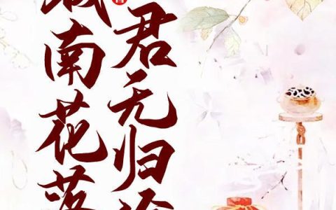 城南花落，君无归途