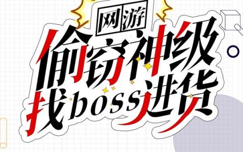 网游：偷窃神级，找boss进货