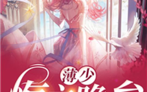 隐婚半年，笨蛋美人野又撩小说完章版