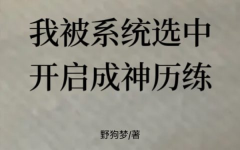 我被系统选中开启成神历练（我被系统选中开启成神历练）全文免费阅读无弹窗大结局