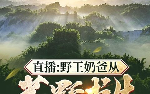 直播：野王奶爸从荒野求生开始全文（李生奶团）全文免费阅读无弹窗大结局