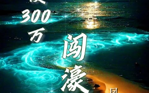 负债300万闯濠江（刘天铭张琳杨晓、梁颖）全文免费阅读无弹窗大结局