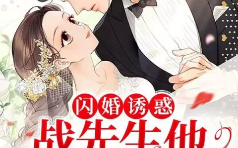 闪婚诱惑，战先生他又宠又撩