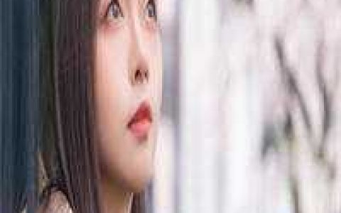 鉴宝：双手成神小说