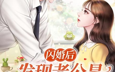 闪婚后，发现老公是新任总裁大人小说