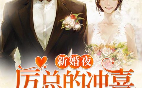不凡人生张安平赵灵芸最新版