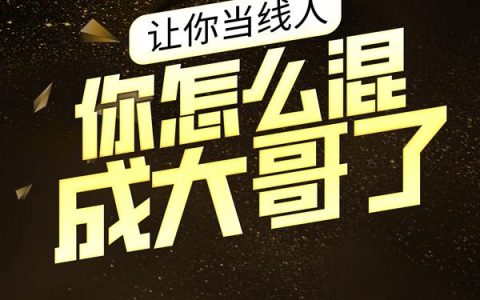 让你当线人，你怎么混成大哥了？