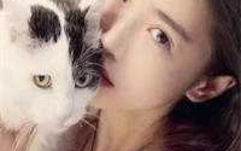 系统带我席卷文娱狂潮