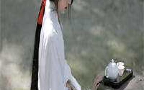 婚途陌路