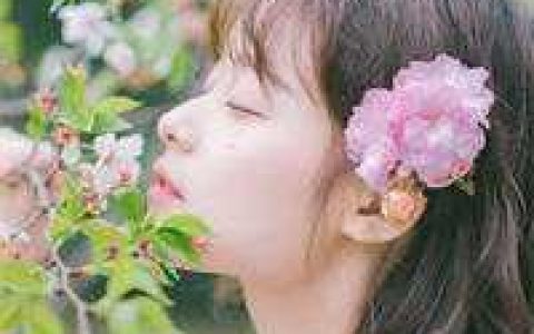 部族荣光小说已完结版
