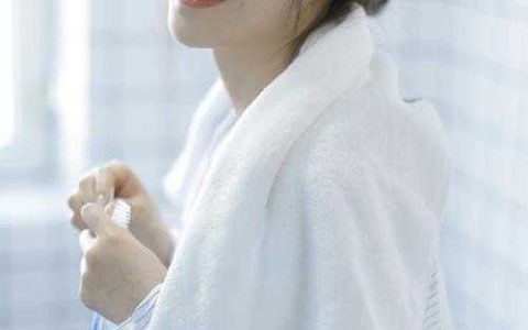 修真电饭锅周青云秦宇阳