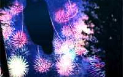我的儿子疯了，说会道术最新章节阅读