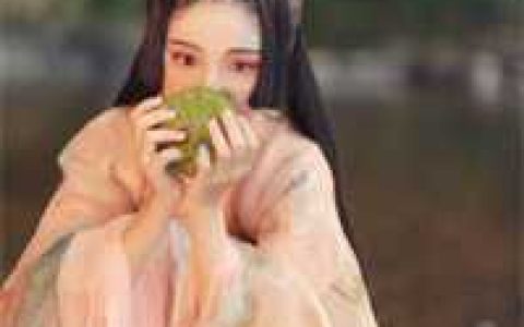 全集大明皇帝亲自接我回宫朱拓小说阅读