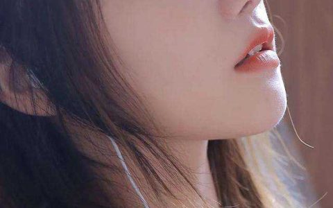 小说锦绣茶香