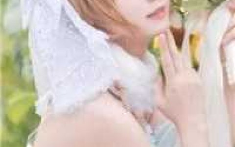 弃女高嫁：深情老公来自高门