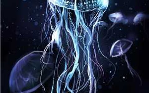 诡异命纹：开局铭刻十大阎罗