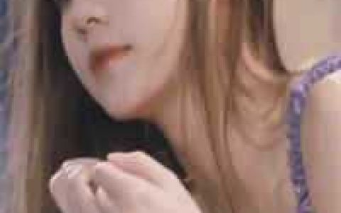 相与到白首