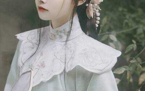 小说天命蛇夫