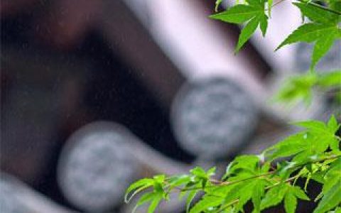 我都修仙了，还要读书？
