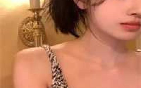 小说丞相夫人要转正