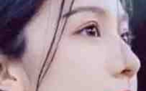 质子别慌！公主殿下还没跑远