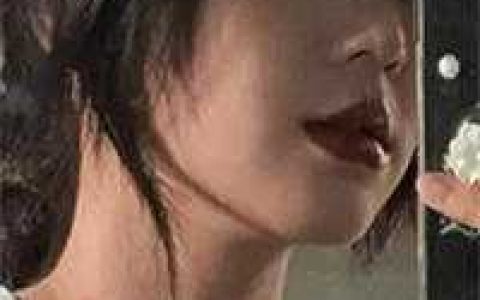 在墙头的油画上明亮的月光