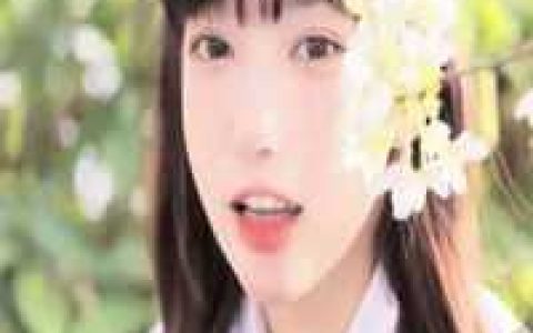 游戏：从羊了个羊开始制霸整个游戏圈