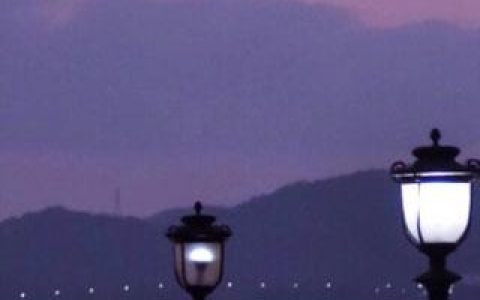 叱咤恋综：大佬人美又飒